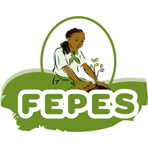 logo-fepes