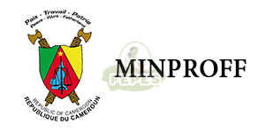 Logo partenaire